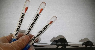 Satu Warga Jakarta Utara Diduga Terinfeksi Hantavirus